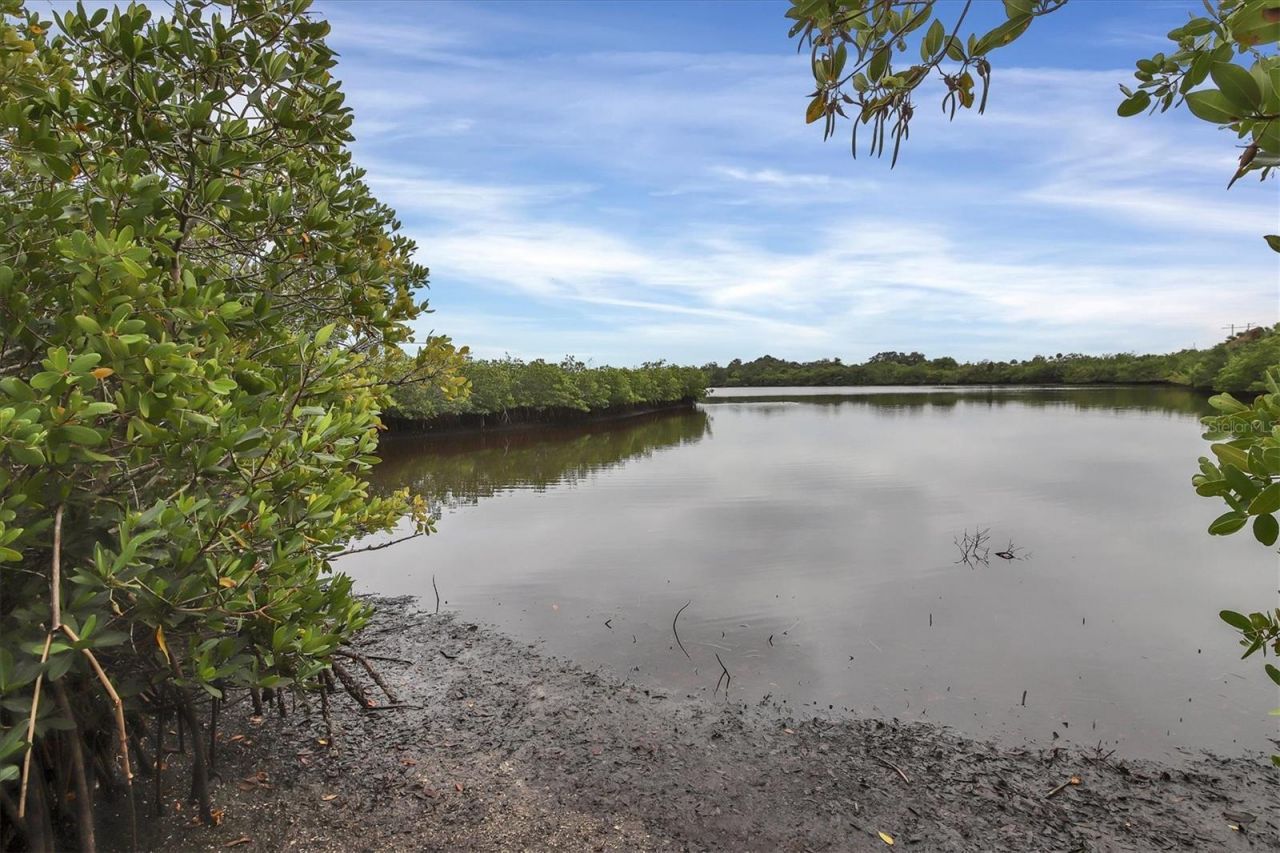5609 Tidewater Preserve Boulevard, Bradenton, FL 34208 Photo