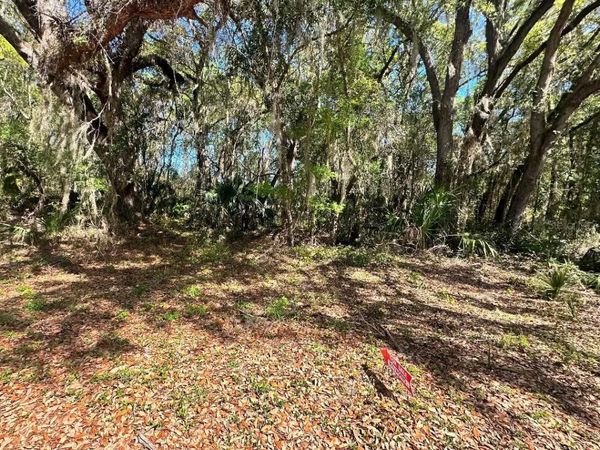 GUAVA TERRACE , OCKLAWAHA, FL 32179