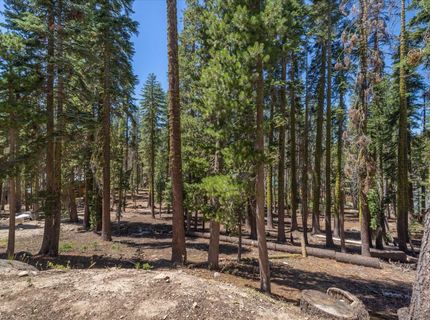 7121 Soda Springs Road, Soda Springs, CA 95728 Photo