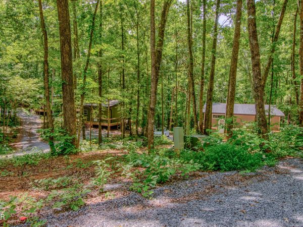 8668 Lakeshore Drive, Rutledge, TN 37861