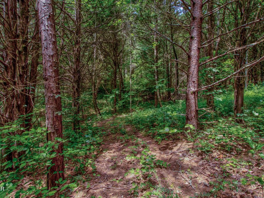 Property Image 45