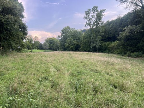 0 Club Springs Rd off 263 , Unit 2, Elmwood, TN 38560