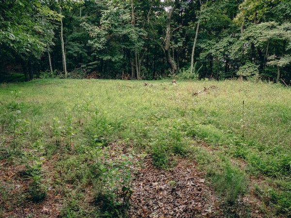 0 Crowell Gap RD , Boones Mill, VA 24065