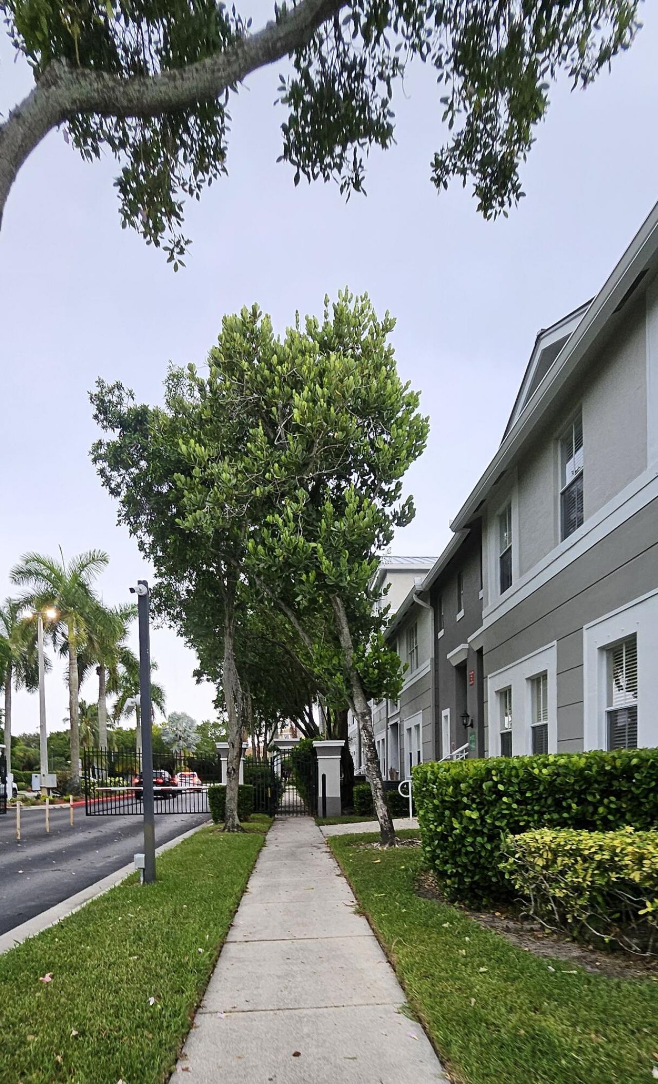 Please Call For Address, Royal Palm Beach, FL 33414 Photo