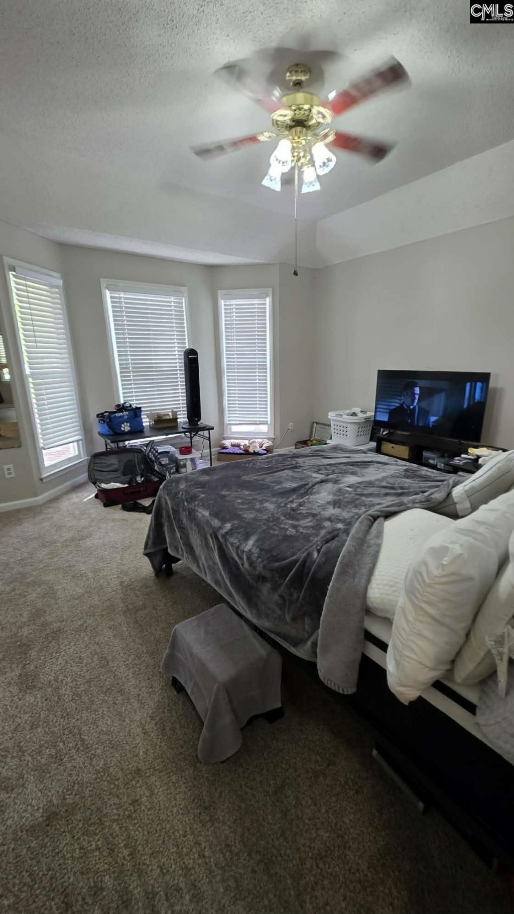 381 Pin Oak Drive Photo 10