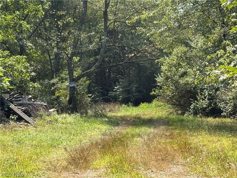 Tomahawk Drive Drive, Negley, OH 44441 Photo 10