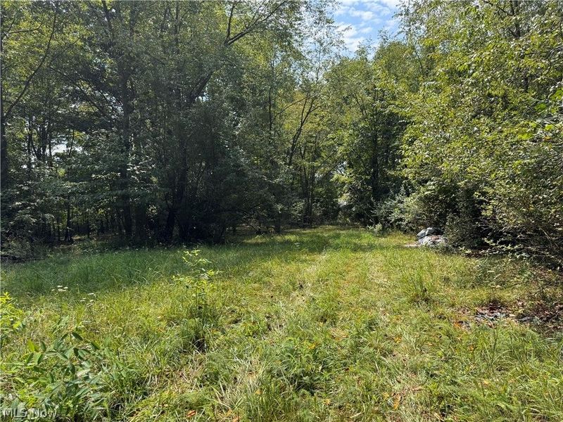 Tomahawk Drive Drive, Negley, OH 44441 Photo 11