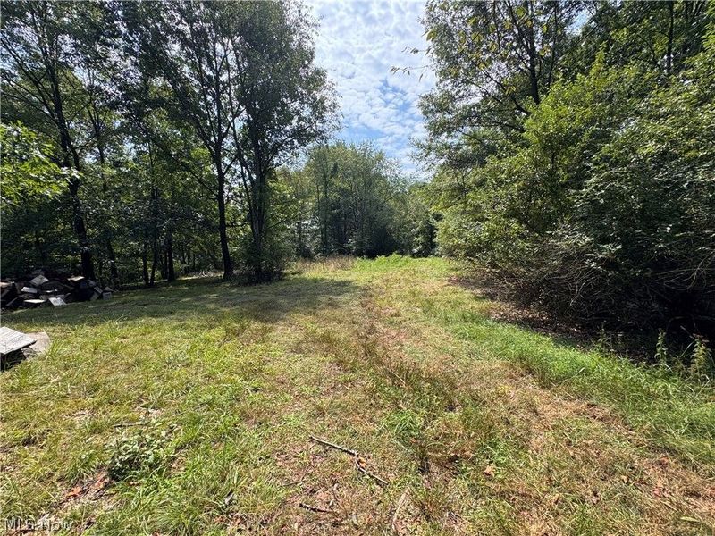 Tomahawk Drive Drive, Negley, OH 44441 Photo 12