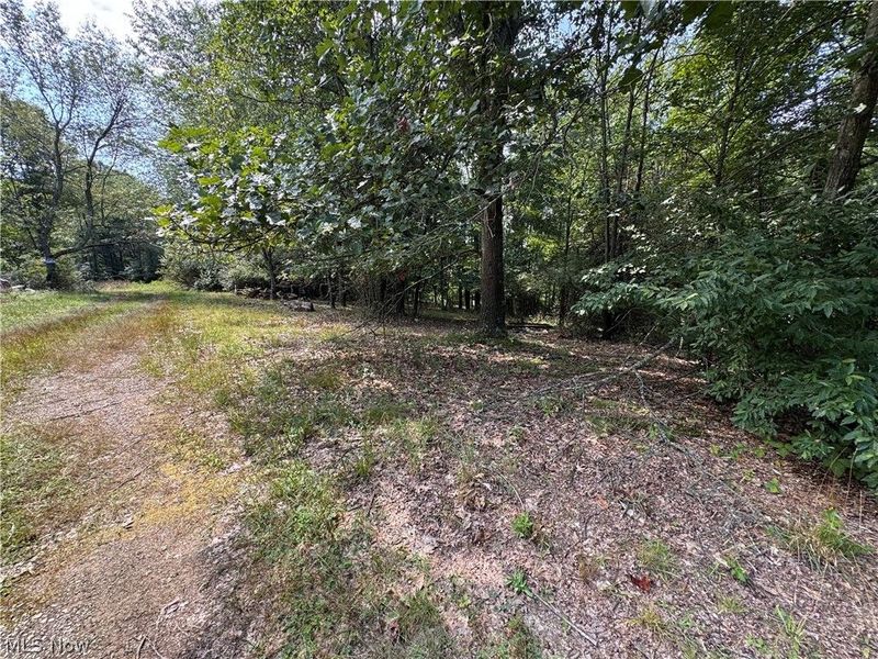 Tomahawk Drive Drive, Negley, OH 44441 Photo 14