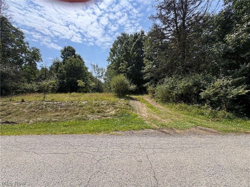 Tomahawk Drive Drive, Negley, OH 44441 Photo 3