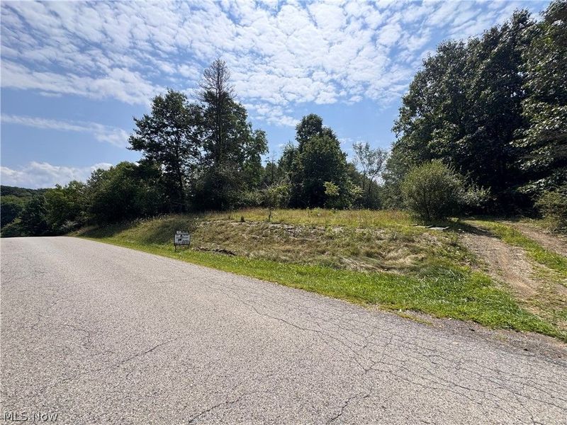 Tomahawk Drive Drive, Negley, OH 44441 Photo 4