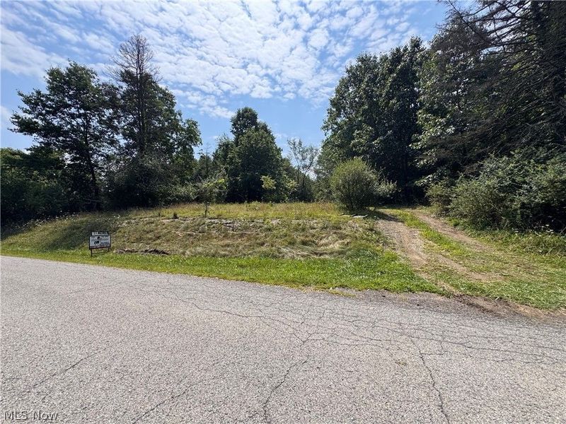 Tomahawk Drive Drive, Negley, OH 44441 Photo 5