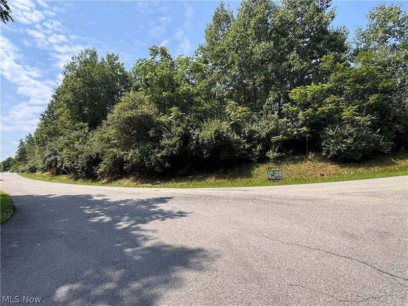 Tomahawk Drive Drive, Negley, OH 44441 Photo 6