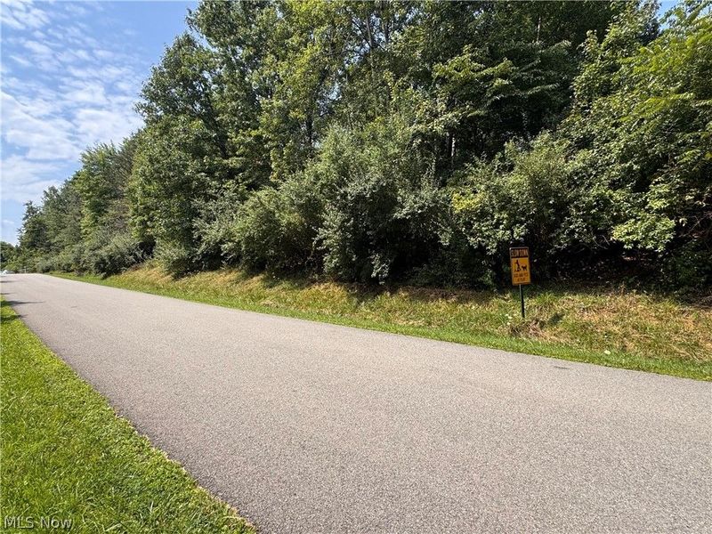 Tomahawk Drive Drive, Negley, OH 44441 Photo 8