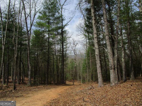 0 East New Hope Road, Unit TRACT B, Ellijay, GA 30536