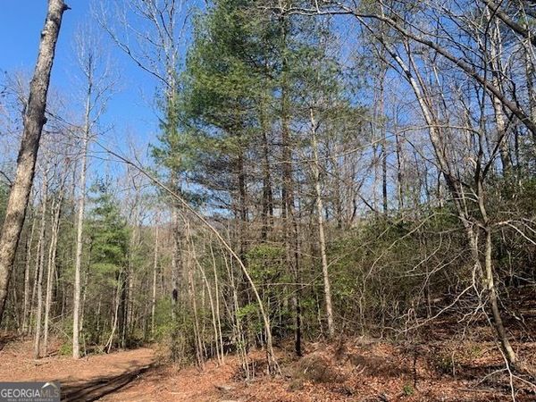 0 East New Hope Road, Unit TRACT A, Ellijay, GA 30536