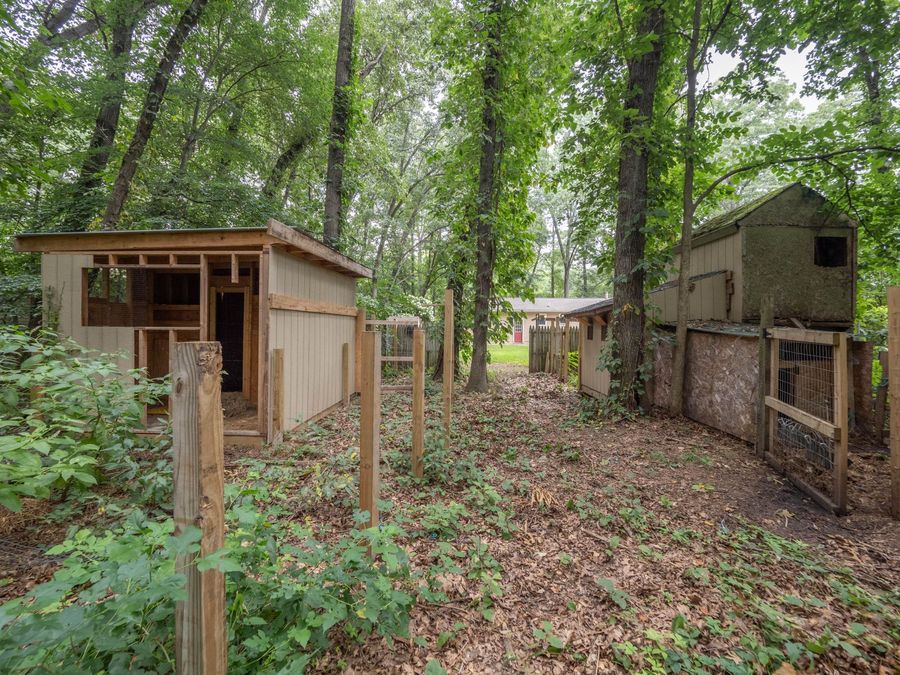 Property Image 21