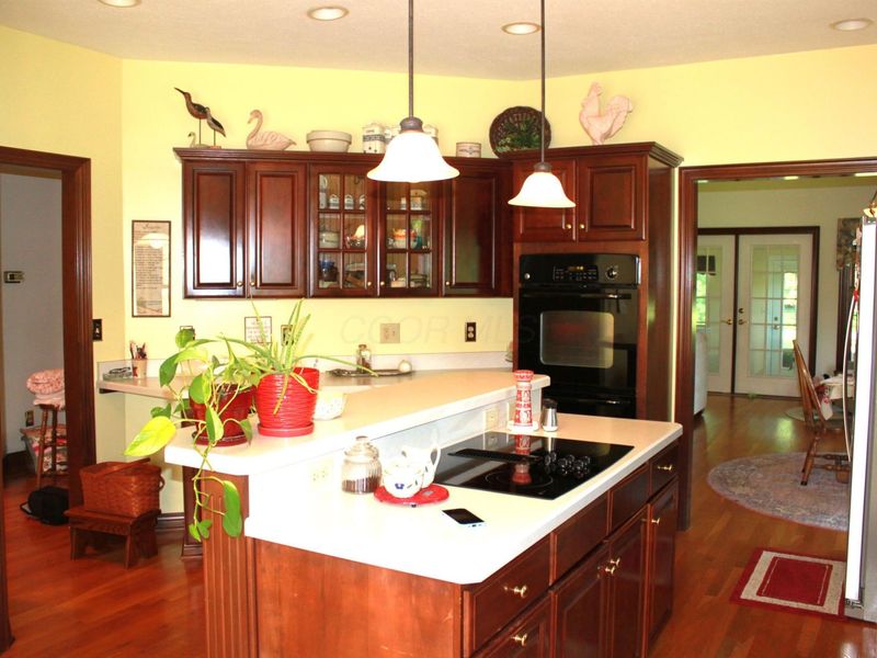 430 Willey Road, Delaware, OH 43015 Photo 22