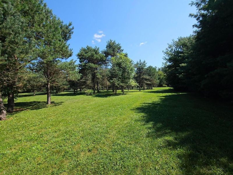 430 Willey Road, Delaware, OH 43015 Photo 47