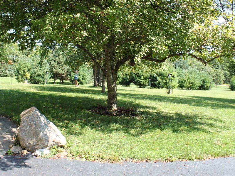 430 Willey Road, Delaware, OH 43015 Photo 49