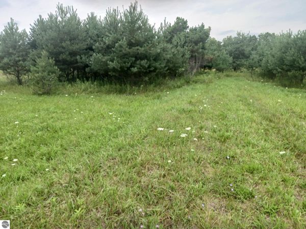 M-55, Prescott, MI 48756
