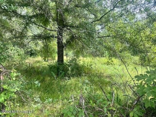 4034 W Topisaw , Ruth, MS 39662