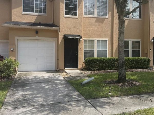 6233 ASHBURY PALMS DRIVE , TAMPA, FL 33647
