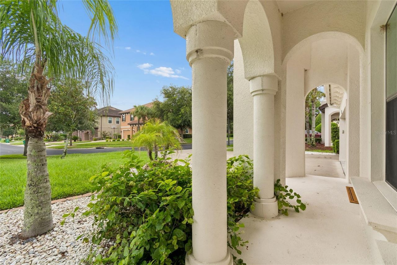 2719 Calvano Drive, Land O Lakes, FL 34639 Photo