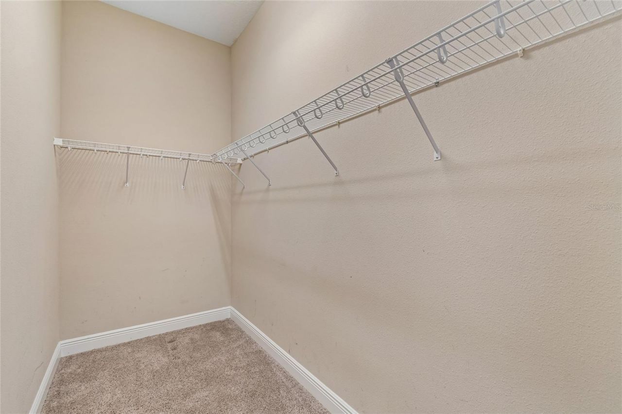 2719 Calvano Drive, Land O Lakes, FL 34639 Photo