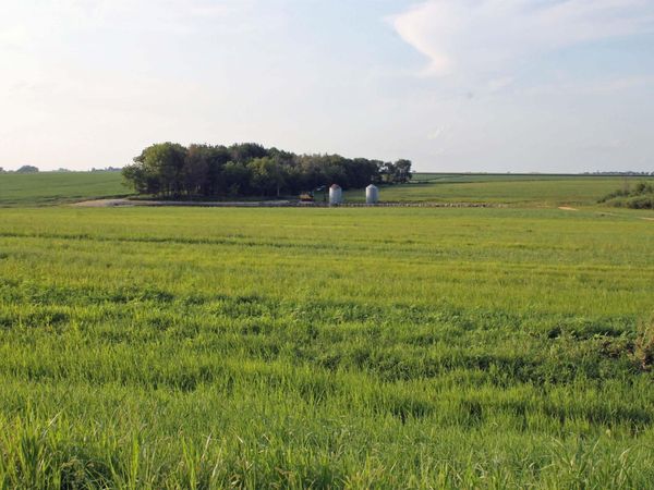 XXX 190th Street, Waverly, IA 50677