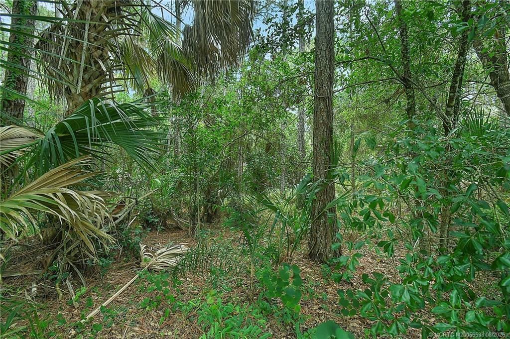 768 SW Balmoral Trace, Stuart, FL 34997 Photo