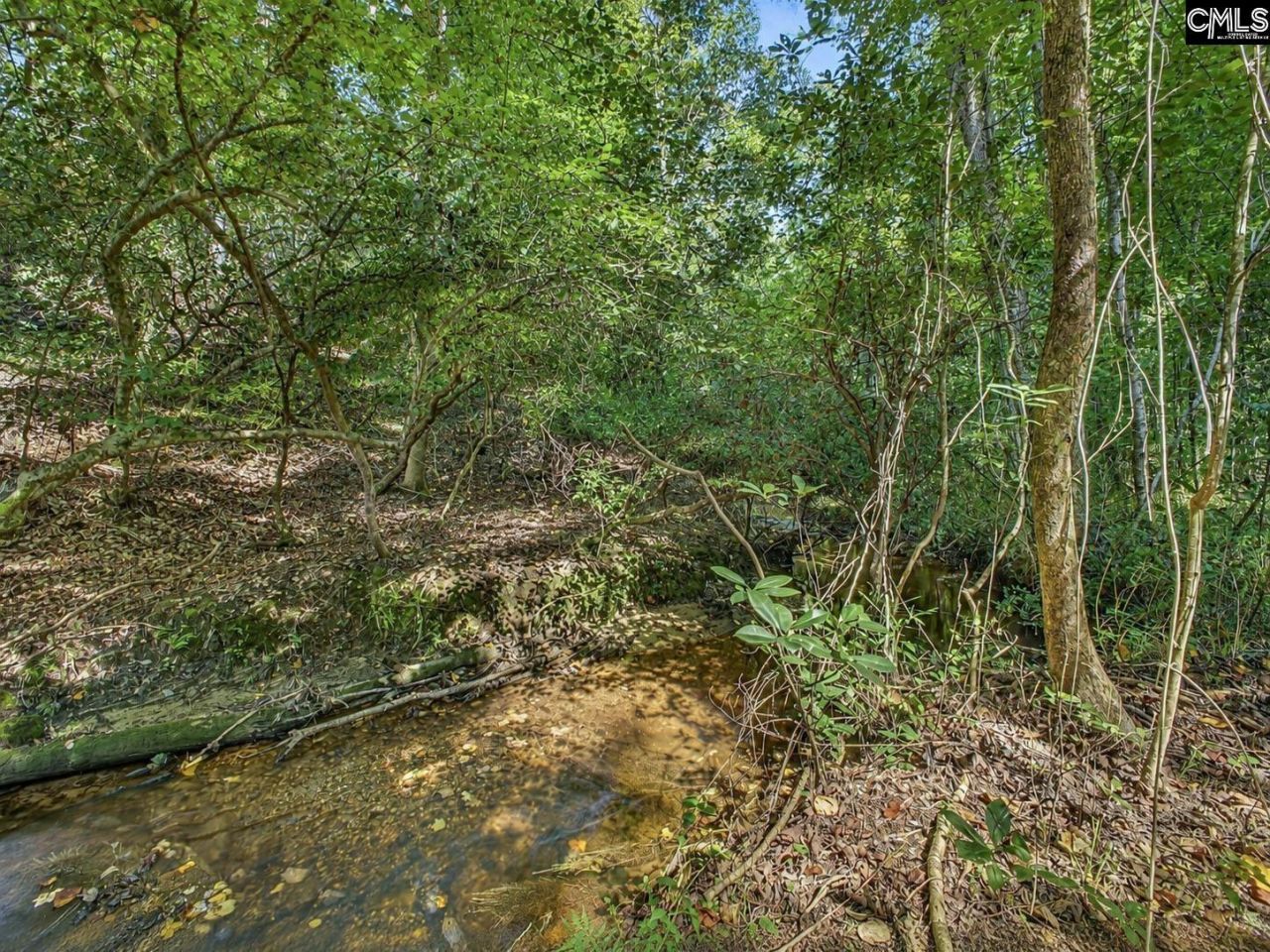550 Old Shoals Road Photo 40