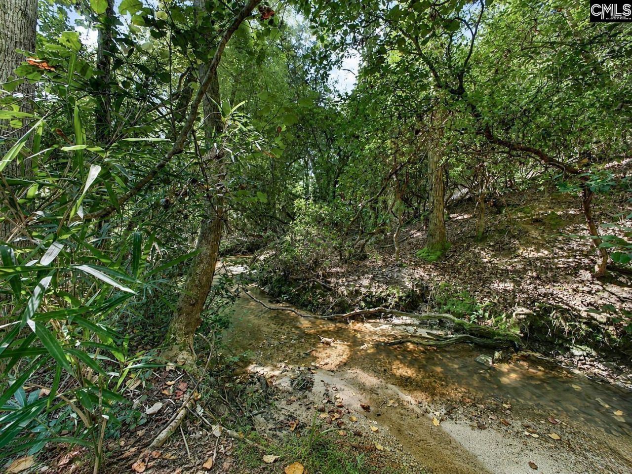 550 Old Shoals Road Photo 43