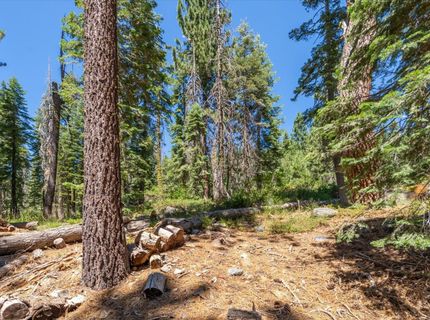 51311 Jeffery Pine Drive, Soda Springs, CA 95728 Photo