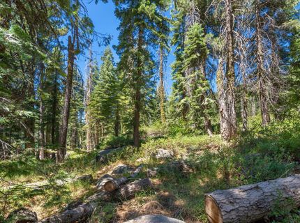 51311 Jeffery Pine Drive, Soda Springs, CA 95728 Photo