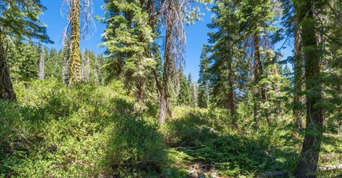 51311 Jeffery Pine Drive, Soda Springs, CA 95728 Photo