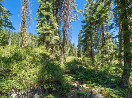 51311 Jeffery Pine Drive, Soda Springs, CA 95728 Photo