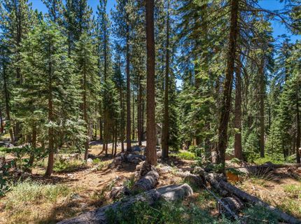 51311 Jeffery Pine Drive, Soda Springs, CA 95728 Photo