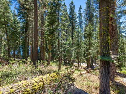 51311 Jeffery Pine Drive, Soda Springs, CA 95728 Photo