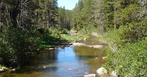 51311 Jeffery Pine Drive, Soda Springs, CA 95728 Photo