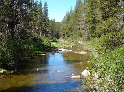 51311 Jeffery Pine Drive, Soda Springs, CA 95728 Photo