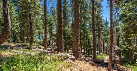 51311 Jeffery Pine Drive, Soda Springs, CA 95728 Photo
