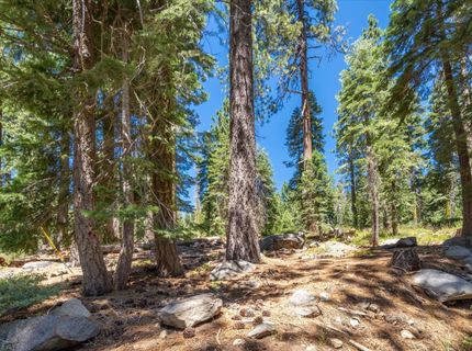 51311 Jeffery Pine Drive, Soda Springs, CA 95728 Photo