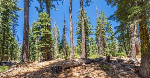 51311 Jeffery Pine Drive, Soda Springs, CA 95728 Photo