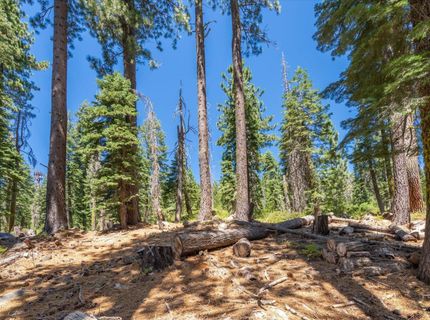 51311 Jeffery Pine Drive, Soda Springs, CA 95728 Photo