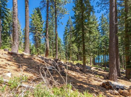 51311 Jeffery Pine Drive, Soda Springs, CA 95728 Photo