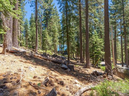 51311 Jeffery Pine Drive, Soda Springs, CA 95728 Photo