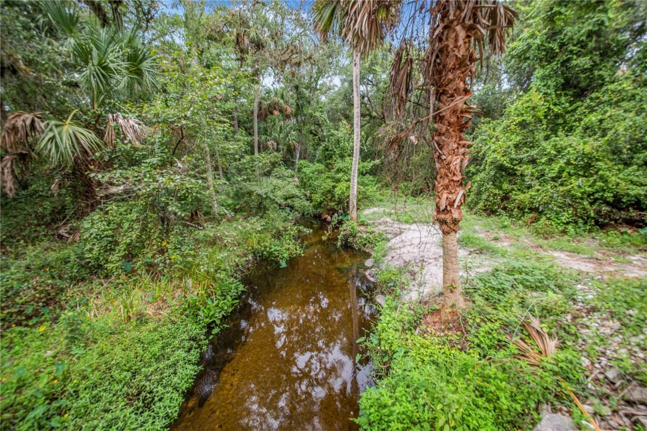 1617 Horseshoe Creek Road, Davenport, FL 33837 Photo