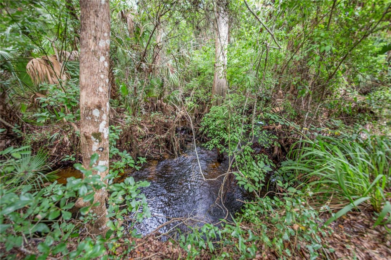 1617 Horseshoe Creek Road, Davenport, FL 33837 Photo