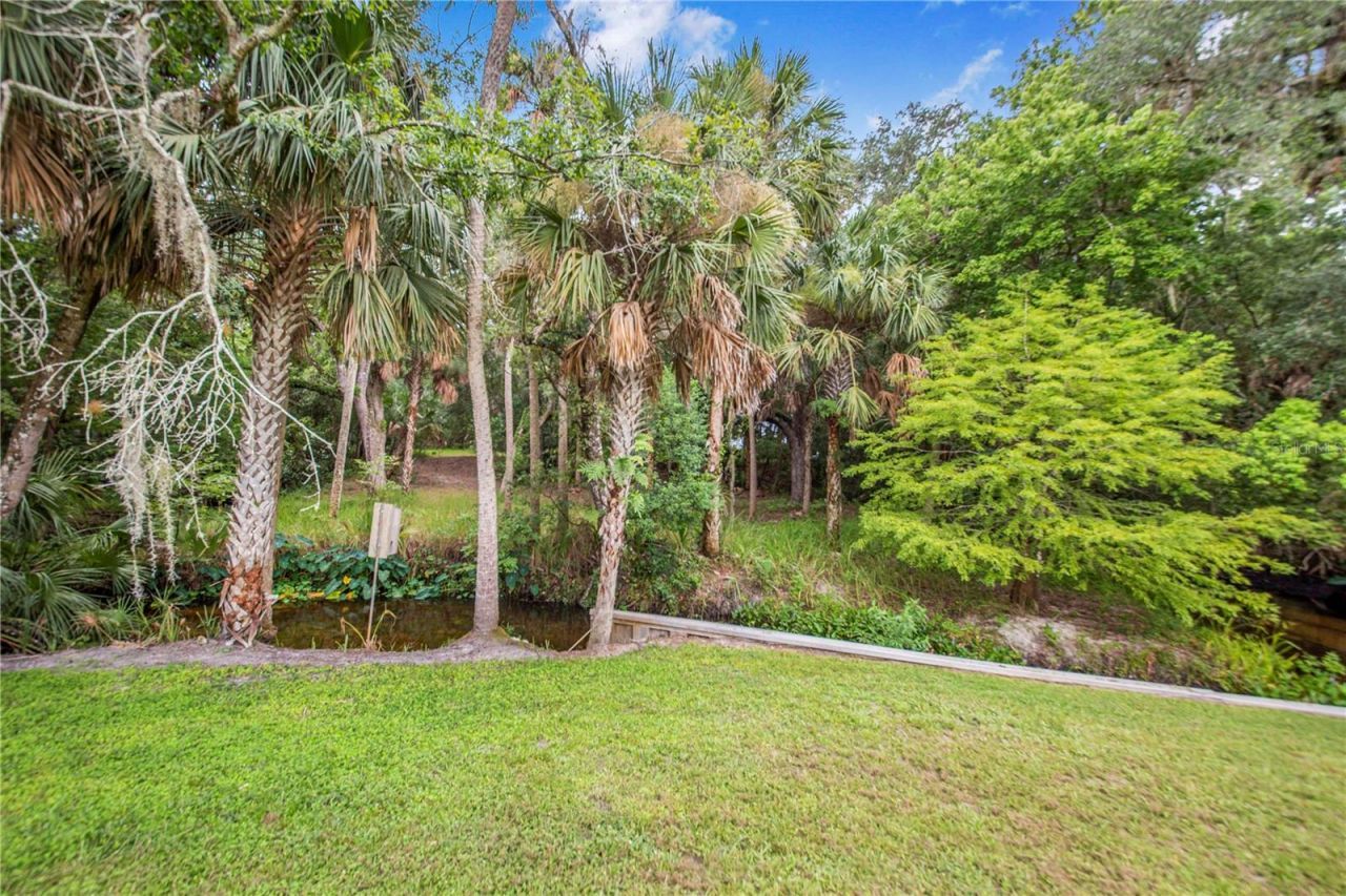 1617 Horseshoe Creek Road, Davenport, FL 33837 Photo